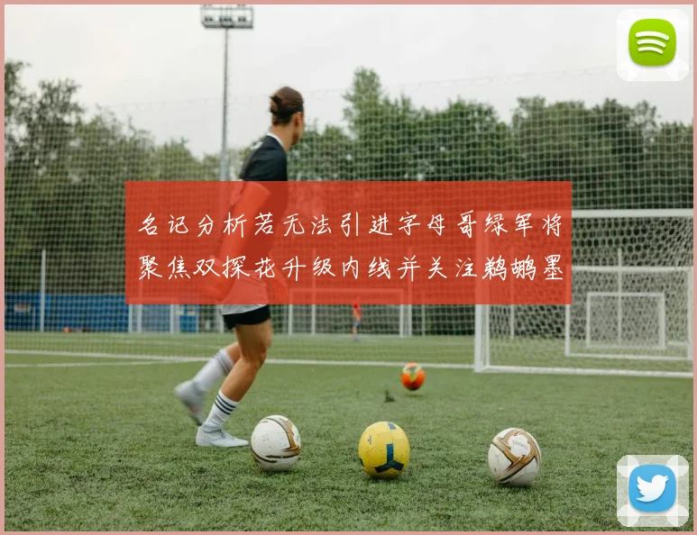 名记分析若无法引进字母哥绿军将聚焦双探花升级内线并关注鹈鹕墨菲